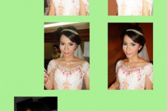 denic2anet