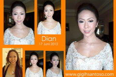 dian-sinnet