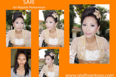 sarigoldnet
