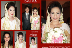 micanet