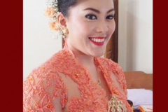 paula2net