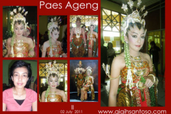 ii-paesnet